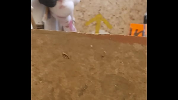 Gercep Aja Tuh Jalang Pake Culotte Kebuka Lebar Pas Lagi Bungkuk, Bikin Liang Melek.